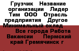 Грузчик › Название организации ­ Лидер Тим, ООО › Отрасль предприятия ­ Другое › Минимальный оклад ­ 14 000 - Все города Работа » Вакансии   . Пермский край,Гремячинск г.